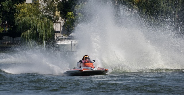 篮球NBA全明星投票开启，球迷呼声高涨