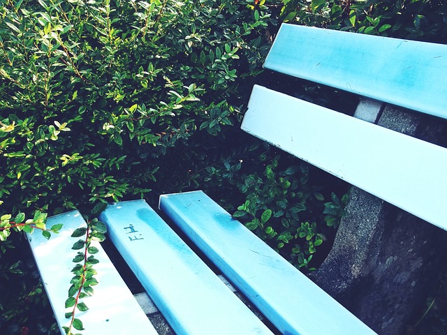 真强!约基奇生涯第23次40+得分&超大梦排名中锋第六位