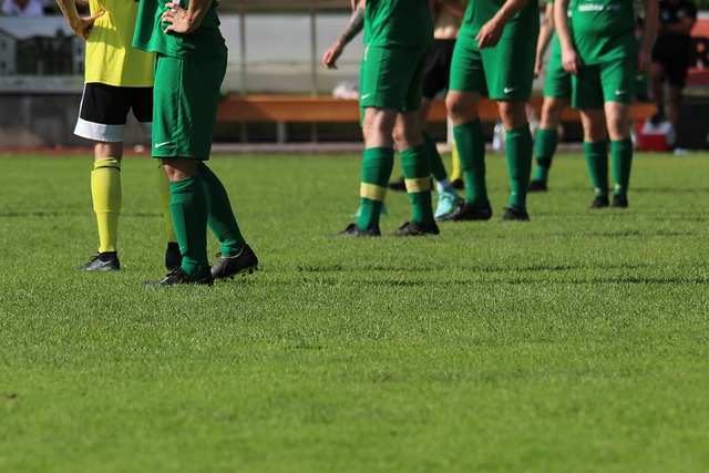 球队管理层 球队管理层